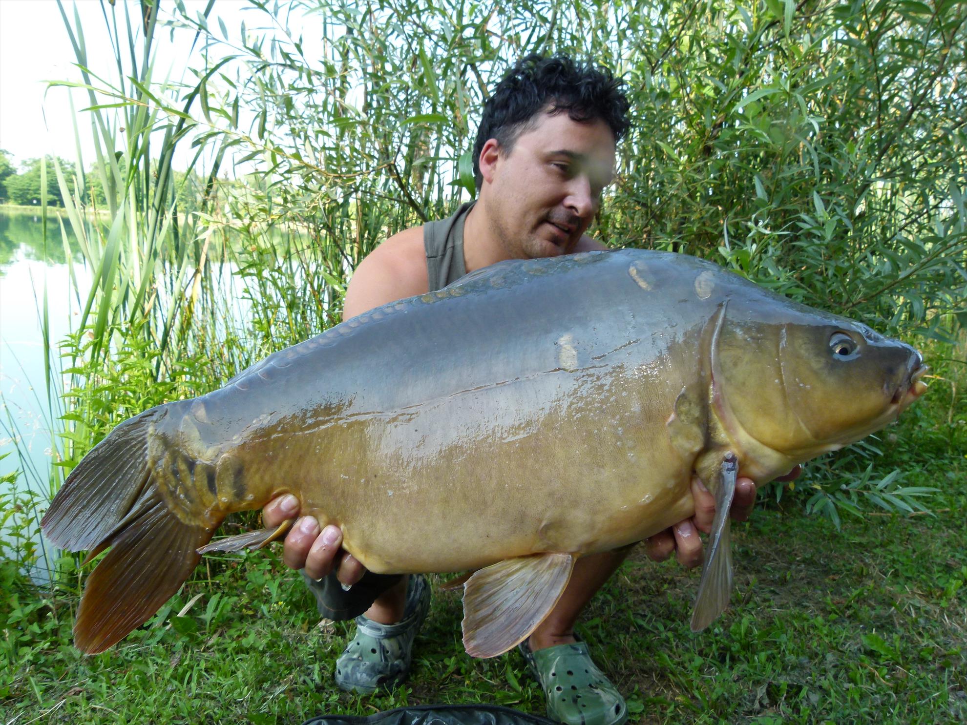 ISOLA DEL PESCATORE 4 - 5 iul. - p1030701.JPG